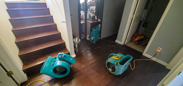 Best Professional water damage repair  in Tashua, CT