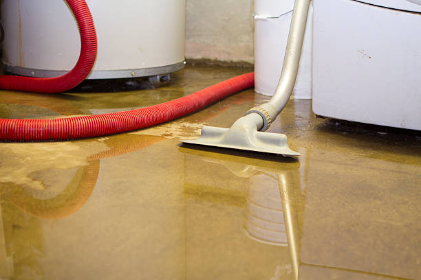 Best Flooded house restoration  in Tashua, CT