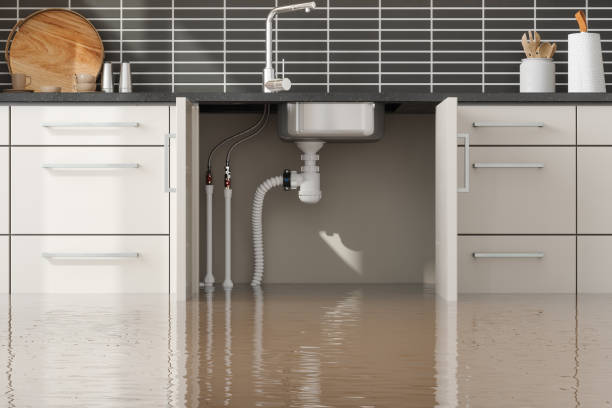 Best Water damage restoration near me  in Tashua, CT