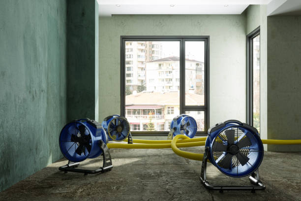 Reliable Tashua, CT Water damage restoration Solutions
